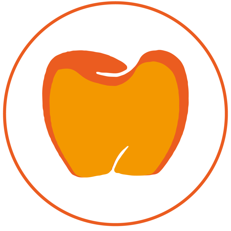 Precision-Engineered Cad Cam Zirconia Blocks SHT-ML for High-End Restorations