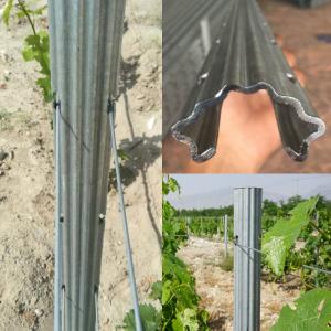 Quality 2.4m 2.5m Galvanised Steel Vineyard Posts Substitute Of Cement Posts And Wooden Posts wholesale