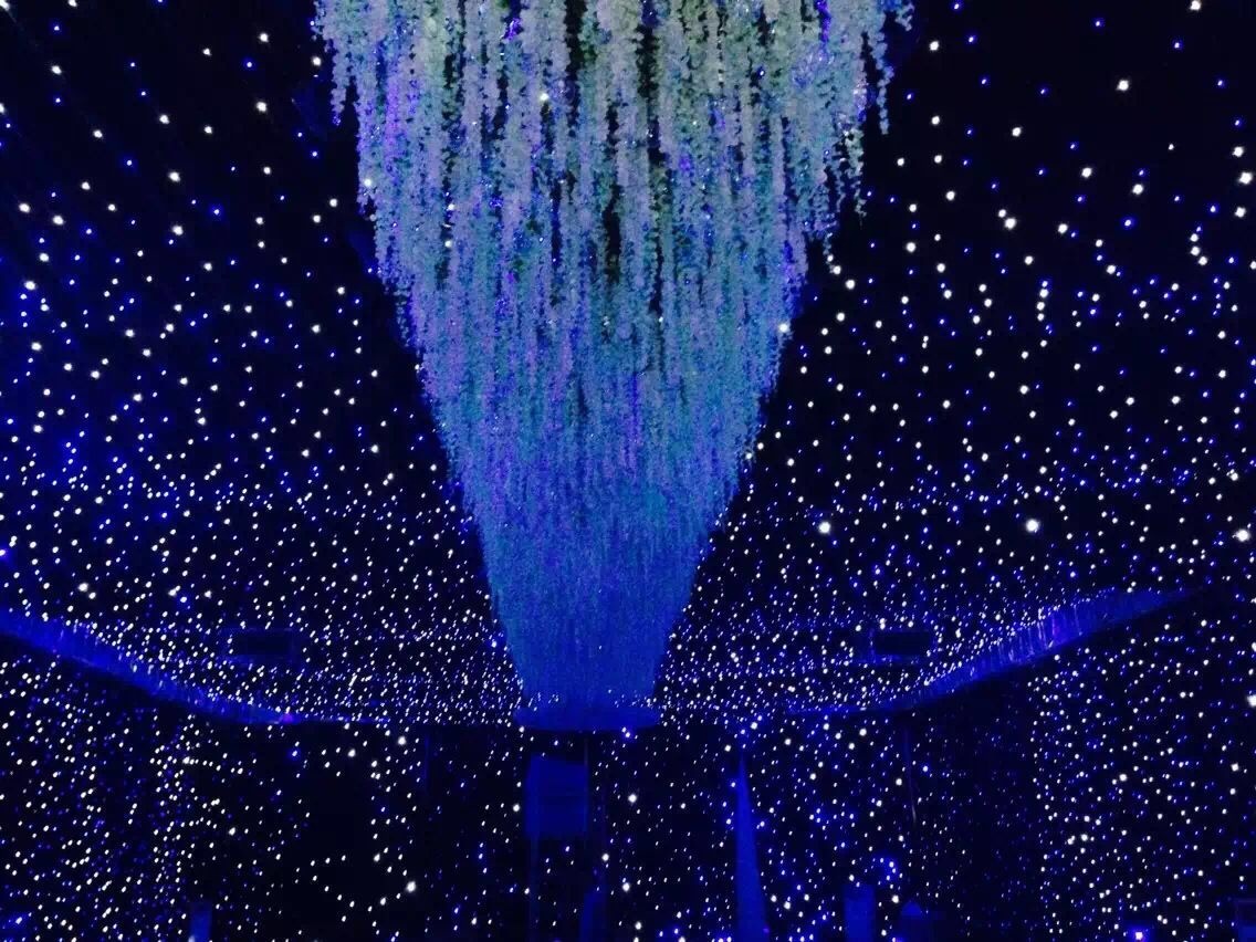 Homei hot sale blue white led star curtain for wedding decoration backdrop