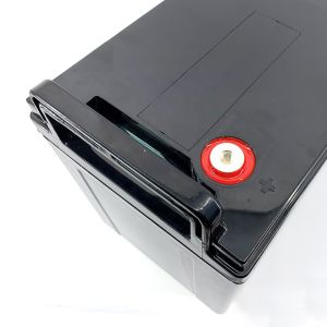 Lithium Iron Phosphate Rechargeable Lifepo4 Battery 24V 50AH