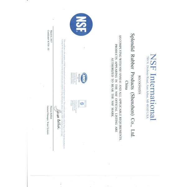 Customized Rubber Gasket CR FKM Molded Rubber Seals Low Frication