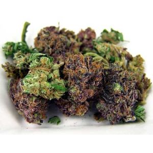 Greenhouse 4000K Samsung LM301B UV LED Grow Lights