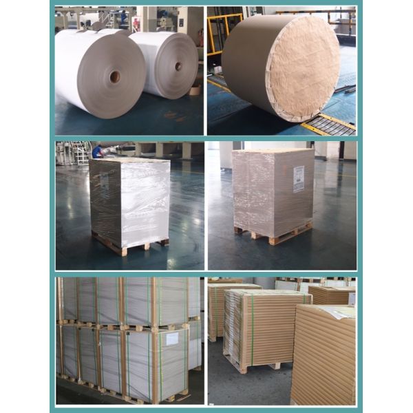 woodfree paper Smooth Printing Uncoated Woodfree Paper 70 80GSM White Bond Offset Paper