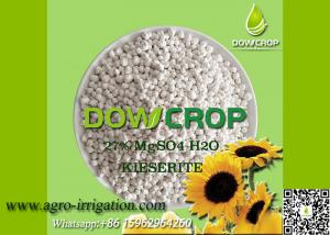 China DOWCROP HIGH QUALITY 100% WATER SOLUBLE MONO SULPHATE MAGNESIUM 27% WHITE GRANULAR KIESERITE MICRO NUTRIENTS FERTILIZER on sale
