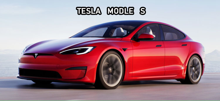 Tesla Model Y Electric Car 4964*1850*1443mm Length Width Height for Chinese Market