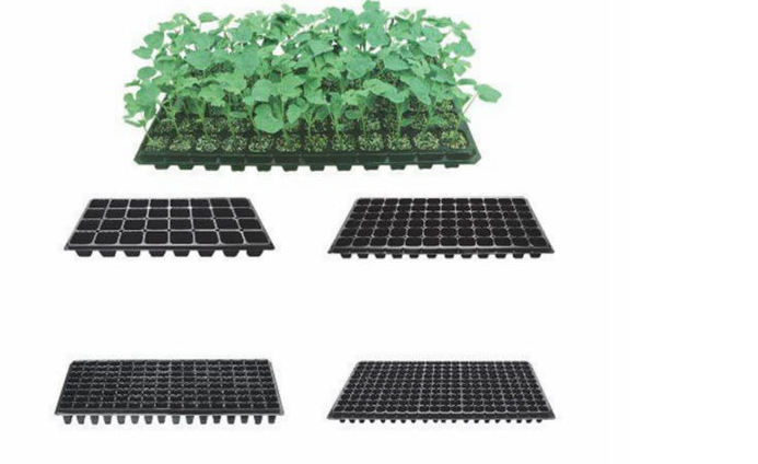Factory price plastic seed germination tray for vegetables tobacco