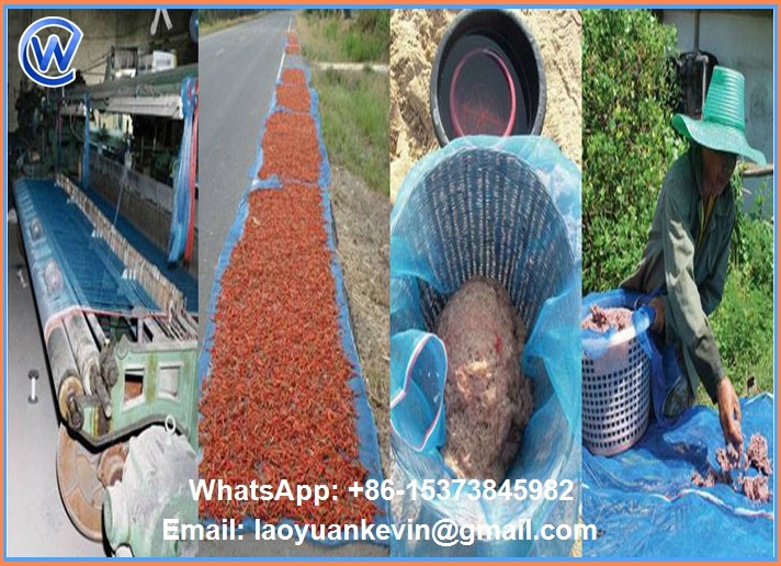 Hot Selling 16 X 16 Eyes 3ftx30yard Screen Nylon Seafood Drying Net