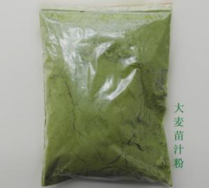Quality Barley Grass Juice Powder 25 Times Concentrate Barley Grass extract powder wholesale