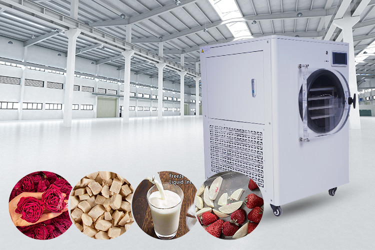 Mini Breastmilk Home Freeze Dryer 4Kg 6Kg 10Kg