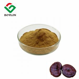 China Broken Ganoderma Lucidum Spore Powder Polysaccharide 2.5% Triterpene 2% on sale