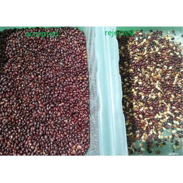 512 Channels 8 Chutes Chia Seed Color Sorter With RGB Camera