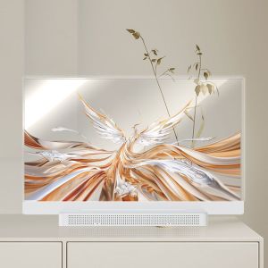 OEM ODM Transparent OLED Screen , 55 Transparent OLED Display