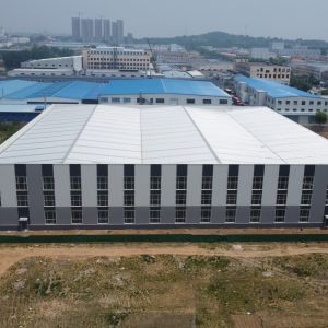 Large Span Steel Warehouse Building Contractor for Logistics