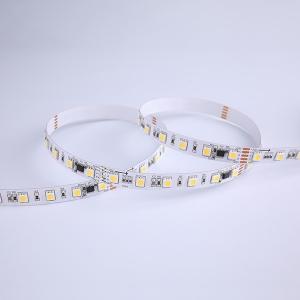 China 5050 Single Color Digital Led Strip 60 LEDs/M SPI Pixel Led Tape on sale