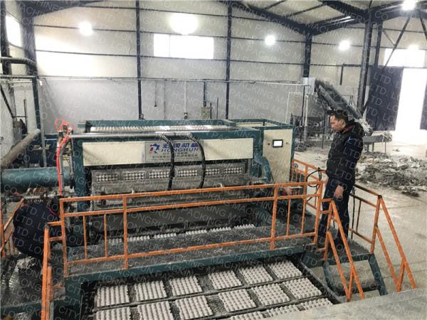 Cheap Molded Pulp Egg Tray Machine Big Capacity Fully Automatic Rotary Type for sale