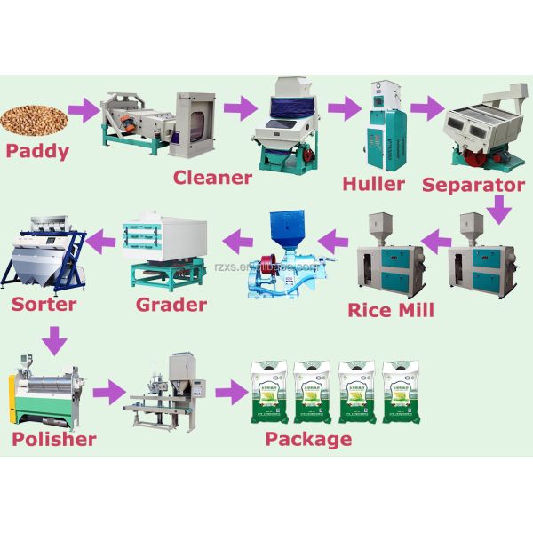 30 Ton Per Day Commercial Hopper Milling Machine Rice Mill Plant with Color Sorter