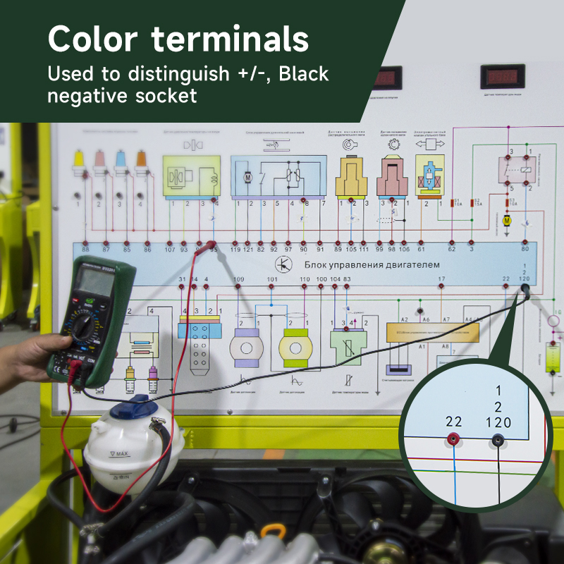 Automotive Training Equipment Diesel Engine Training Board for and Fault Diagnosis