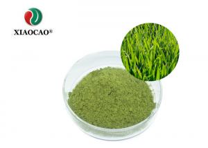 Quality Organic Barley Grass Juice  Powder / NOP EU Pure Green Barley Grass Powder wholesale
