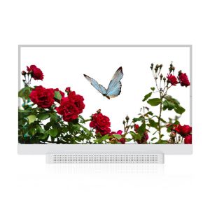 OEM ODM Transparent OLED Screen , 55 Transparent OLED Display