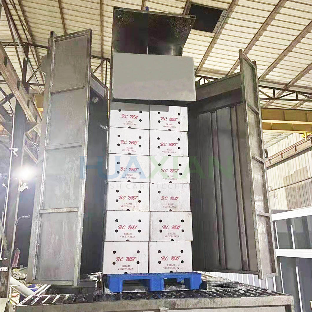 Automatic Broccoli Ice Injector 2mins Fast Processing For Vegetable Farm