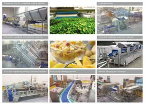 China 380V Commercial Food Canning Equipment Fresh Cut Fruit / Vegetable Production Line on sale