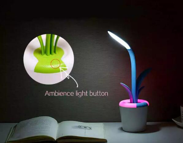 USB Rechargeable LED Desk Eye-protecting Kaffir Lily Reading Lamp For Children