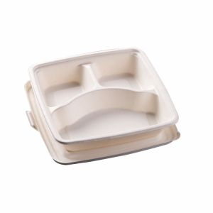 OEM / ODM Molded Pulp Packaging Paper Food Packing Box Printing