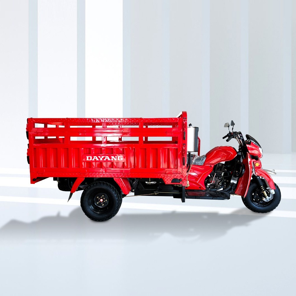 Durable DAYANG BEIYI 200CC Three Wheeler Tricycle Cargo Motorcycle with Open CCC Origin