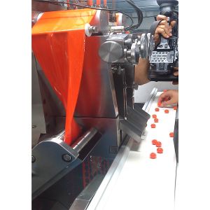 Servo Motor Professional Paintball Encapsulation Machine 1 Year Warranty