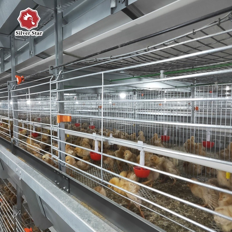 H Type Broiler Chicken Cage Automatic 4 Tiers 100*100*220 CM