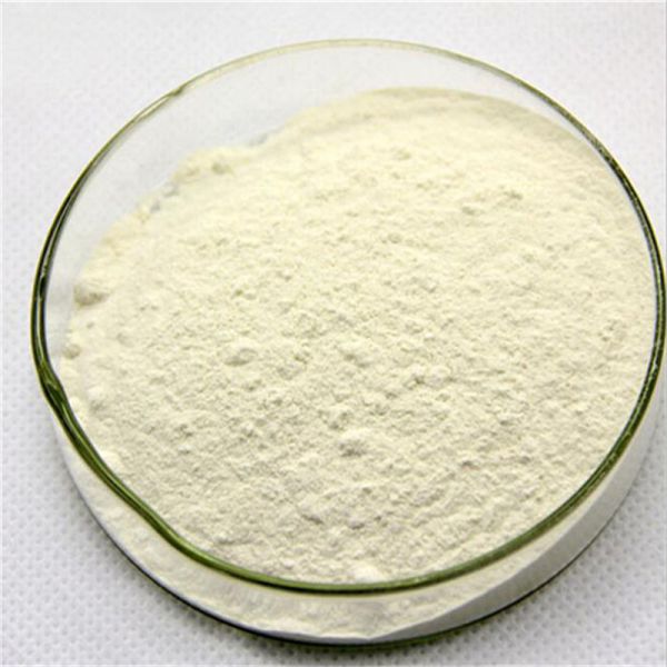 China factory supply 25kg bag xanthan gum food grade bulk thickener CAS NO 11138-66-2