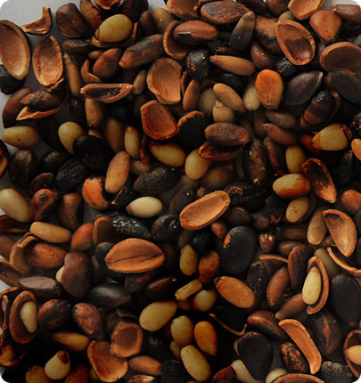 Professional Nut Colour Sorting Machine High Accuracy Multitasking Function