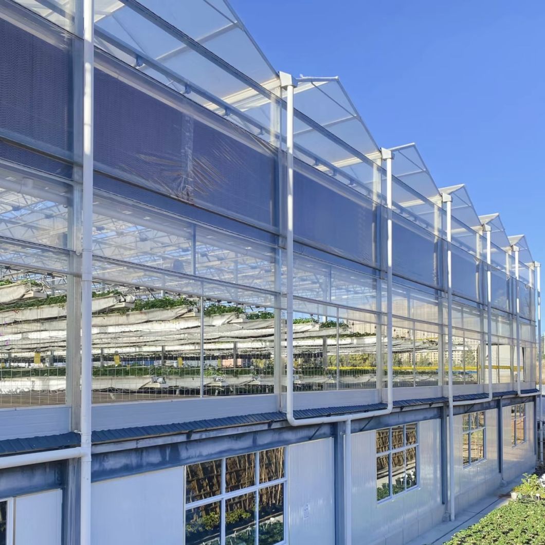 Float Single Glass Greenhouse with Drip Irrigation