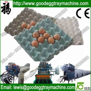 Quality Paper Egg Holder making machinery(FC-ZMG3-24) wholesale
