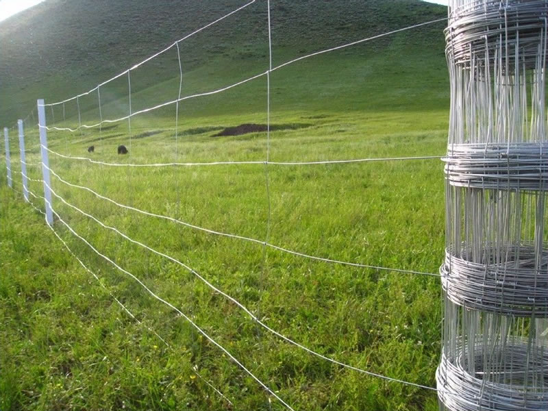 Hight Quality Goat Farming Field Fence 5 Ft Goat Fencing Farm Animal Fence