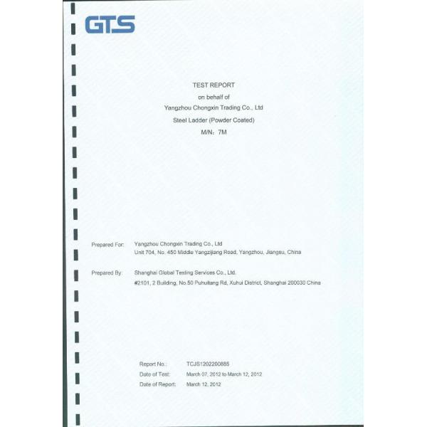 Steel Ladder (power coated square) Test Report