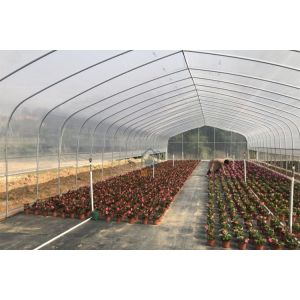Hot-Dip Galvanized Agricultural Greenhouses and Farm Tunnel Greenhouse Plastic