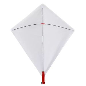 Customized Photo Printing Sublimation Blank White Polyester Kite