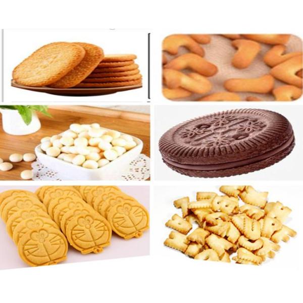 Dog Cookies Hard Soft 25KW Biscuit Molds Machines