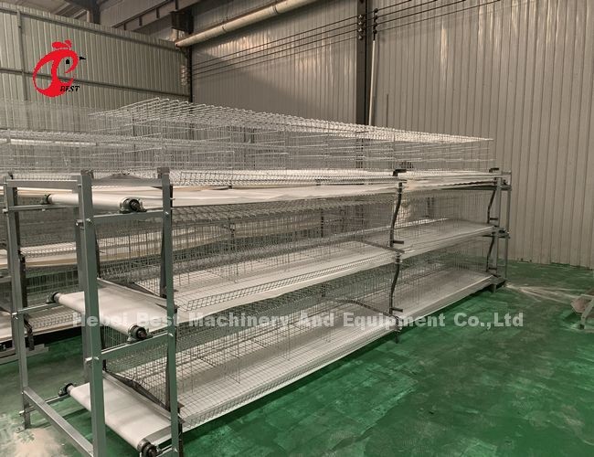 3/4/5 Tiers Battery Cage System for Automated Layer Chicken Poultry Farm Iris