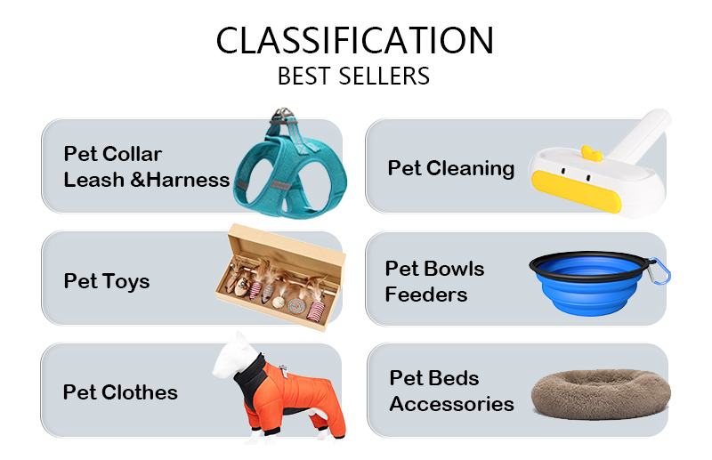 Adjustable Breathable Dog Vest Safety 1.5m Traction Leash No Pull Dog Harness Set Personalized for Safe and Stylish Walks