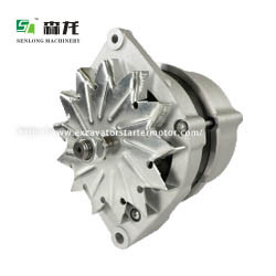 John Deere Generator 12V 95A A18763 AH137883 AT175194 AT220394 AT229394 RE36267 RE535653 SE501342TY24485 0120484011