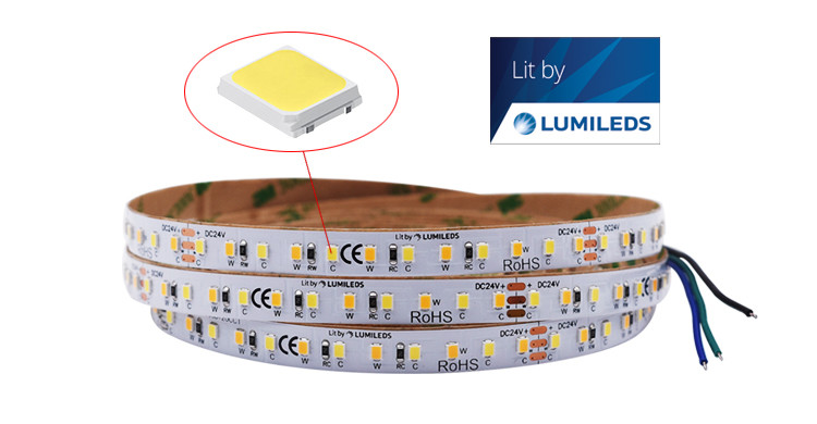 10mm Tunable White LED Strip Warm White Light CCT 2835 Lumileds IP67 IP68