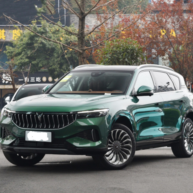 VOYAH Free 2021 Two Drive Pure Electric Version SUV Large Middle