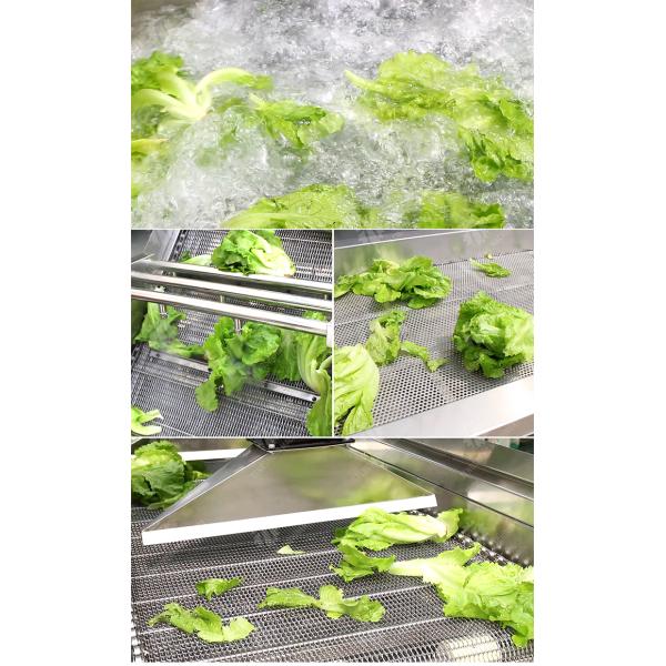 Fruit and vegetable washing and vibrating drying production line Fruit Vegetable FOOD processing production Machine Versatile and Durable Fruit