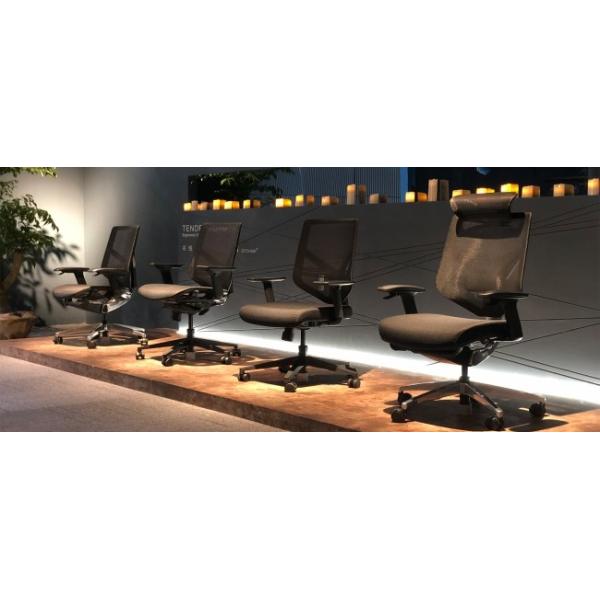 4D Arms Ergonomic Mesh Task Chair Desk Computer Chairs Mesh Office Chairs