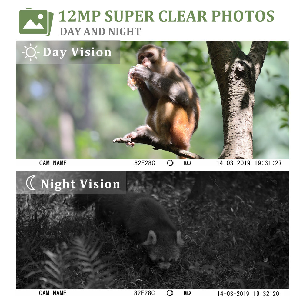 Portable Wildlife Motion Sensor Camera , 12MP Deer Hunting Video Cameras