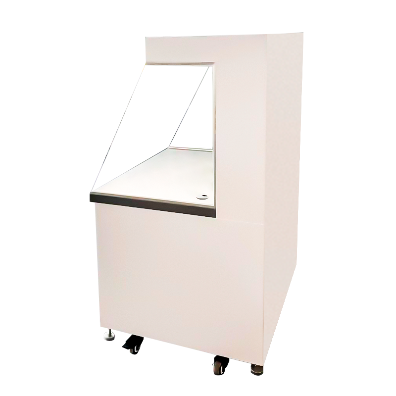 Non Standard FFU Vertical Laminar Flow Hood SUS 304 Stainless Steel For Lab