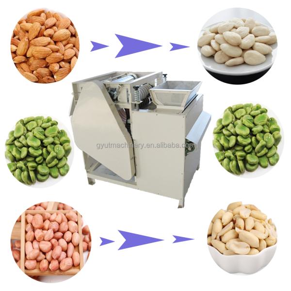 85-95% Whole-Kernel Rate Wet Peeling Machine for Apricot Kernel Cracking and Cracking