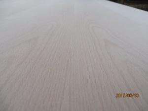 China Europe beech  veneered plywood.Decorative plywood.  veneered plywood.tropical hardwood core on sale
